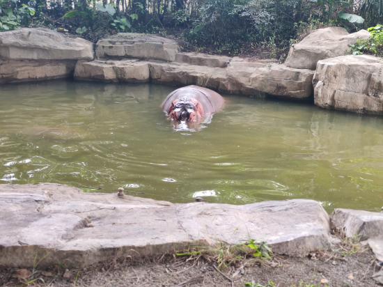 望聽錦繡民宿（上海國際旅遊度假區店）優惠