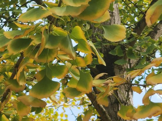 如家商旅酒店（韶關東站解放路步行街店）優惠