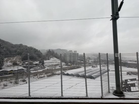 티마크그랜드호텔 명동 쿠폰