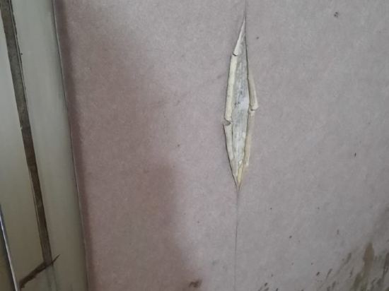 台北唯樂米窩優惠