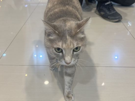 屏東沐林會館優惠