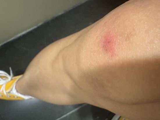 澳門遇蓮客棧優惠