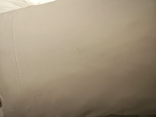 克里斯託布魯克弗林酒店優惠