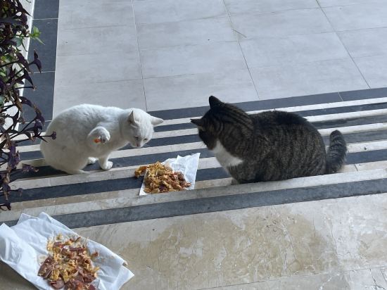 伊茲密爾奧迪萊克温德姆大酒店優惠