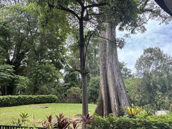 新加坡樟宜灣飯店優惠