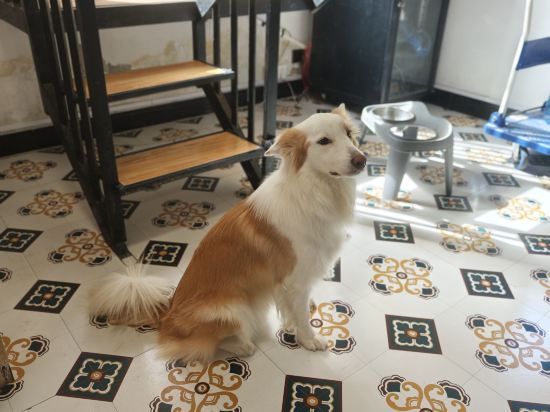 SlowHouse 花喜民宿（西街鐘樓店）優惠