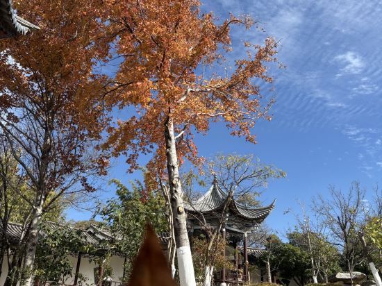 大理洱海天域英迪格酒店優惠