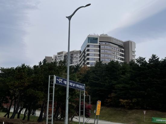 소노펠리체 델피노 고성 쿠폰