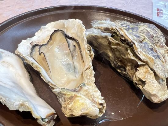 宮島ホテルまこと クーポン