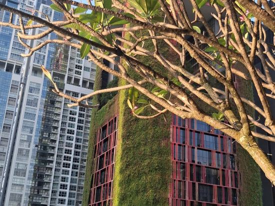 新加坡市中心索菲特飯店優惠