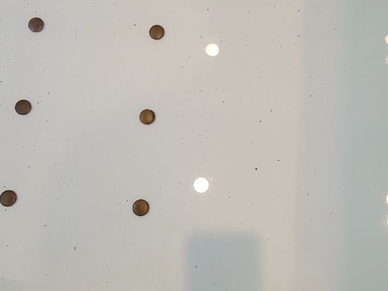 호텔 일루아 쿠폰