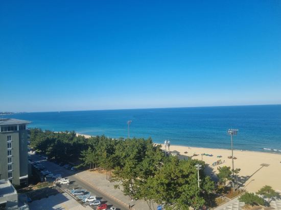 스카이베이 호텔 경포 쿠폰