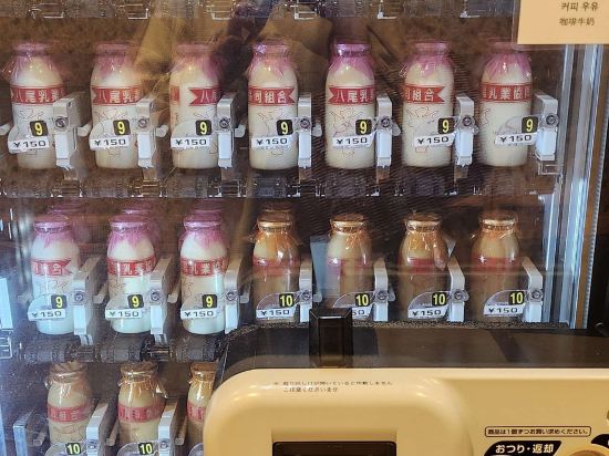 富山御宿野乃天然温泉經濟型酒店優惠