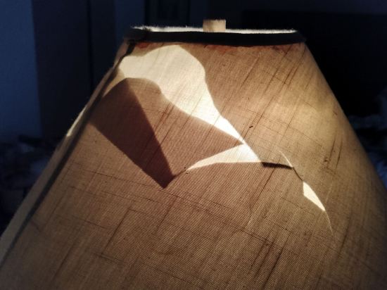 阿顏達瑞弗默帝國優惠