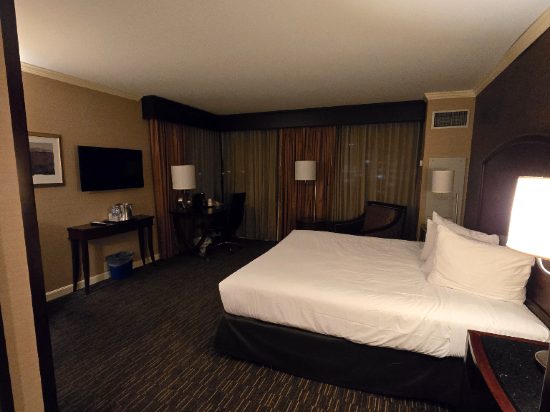 匹茲堡温德姆大酒店優惠