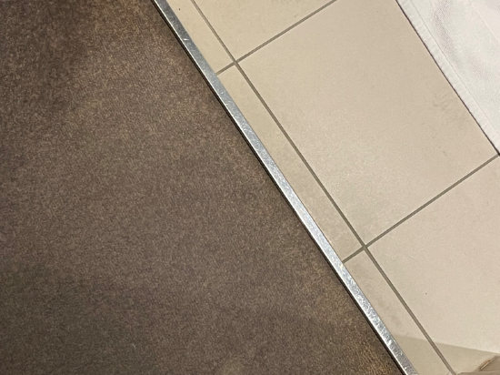 莫斯科謝諾梅傑沃機場麗笙藍標酒店優惠