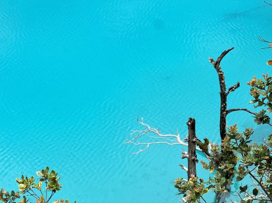 麗江美墅·甘棠苑客棧優惠