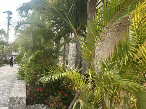 ホテルリソルトリニティ那覇 クーポン