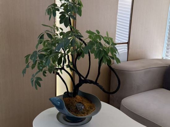 格林東方飯店（北京國貿四惠高碑店地鐵站店）優惠