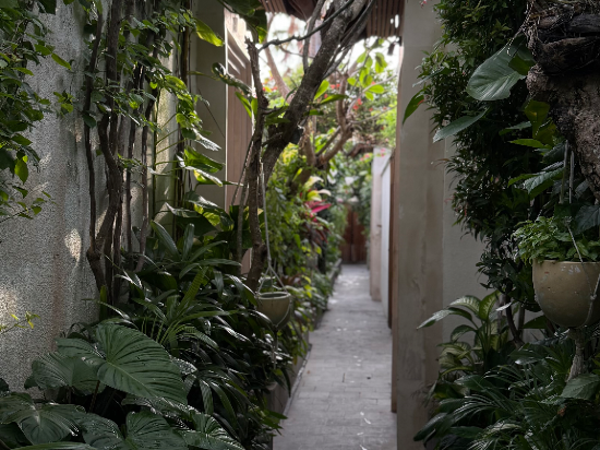 席尼維艾別墅 - 伊妮薇款待別墅優惠