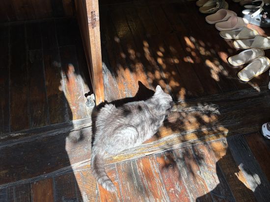 西湖出釉民宿優惠