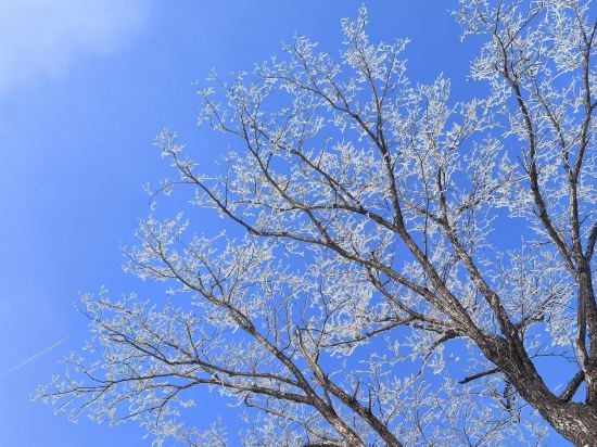 北大湖山湖居酒店優惠