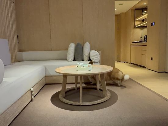 深圳蛇口希爾頓南海酒店優惠