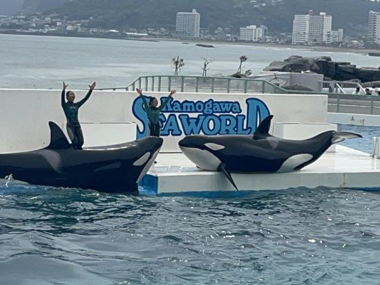 鴨川シーワールドホテル クーポン