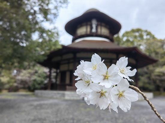 天然温泉　癒しの宿　ヒルホテル　サンピア伊賀 クーポン