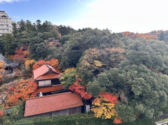 たちばな四季亭 クーポン