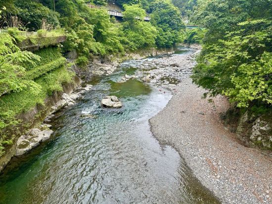 龍神温泉　美人亭 クーポン
