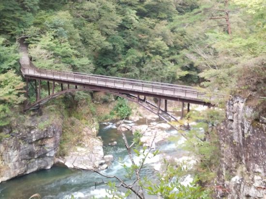 伊東園ホテル ニューさくら クーポン