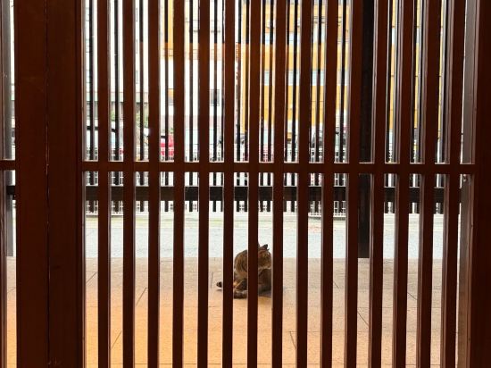 別府温泉　悠彩の宿　望海 クーポン