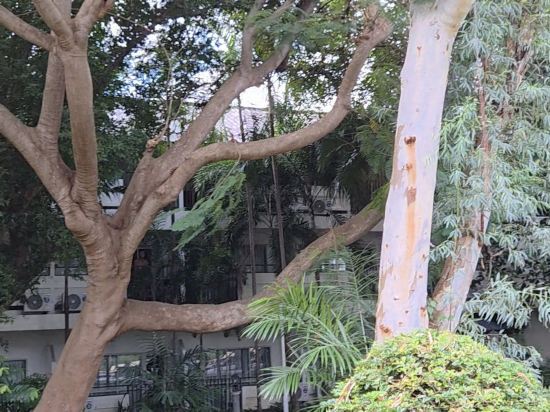 陽光花園度假村優惠