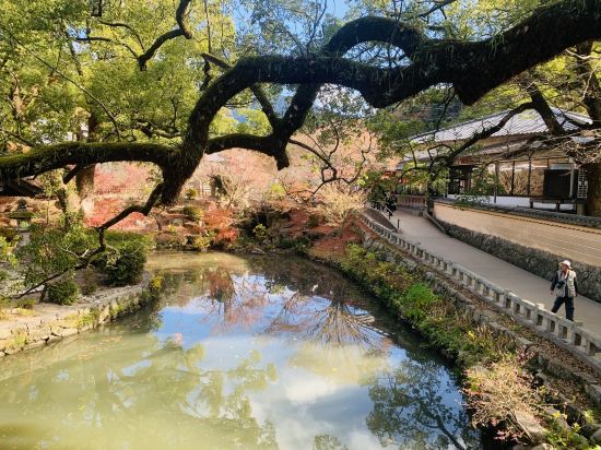 福岡博德昆泰沙休閒安睡飯店優惠