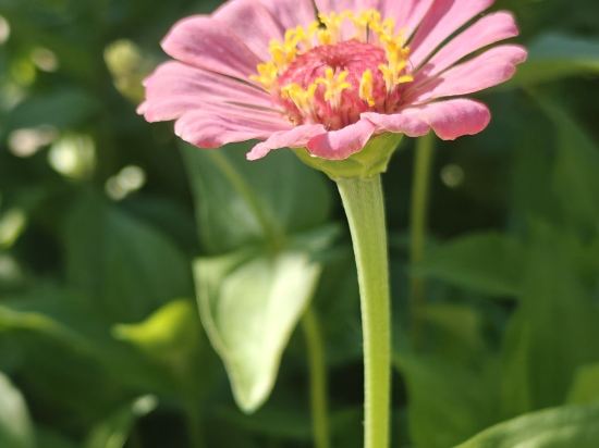 多倫吉嘉賓館優惠