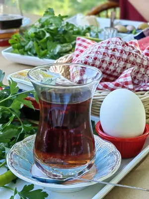 يوكاليبتس بينشن تناول الطعام Photos