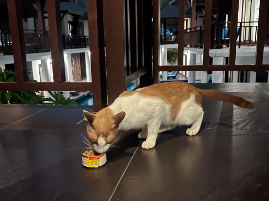 帝堡澤斯羅飯店優惠