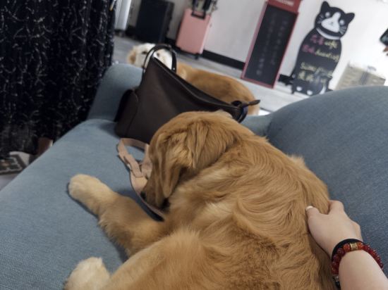 SlowHouse 花喜民宿（西街鐘樓店）優惠