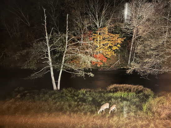 カムイの湯 ラビスタ阿寒川 クーポン