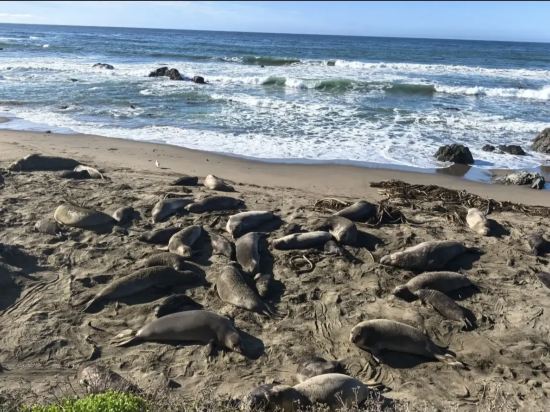 聖西蒙摩根酒店優惠