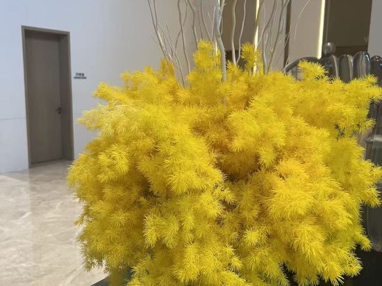 海口索菲特大酒店優惠