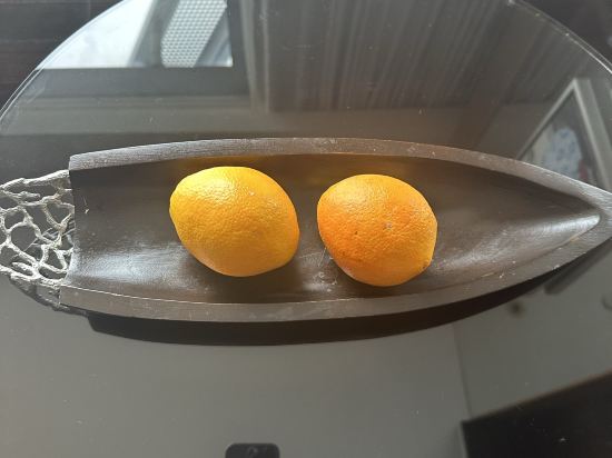 深圳灣木棉花酒店優惠