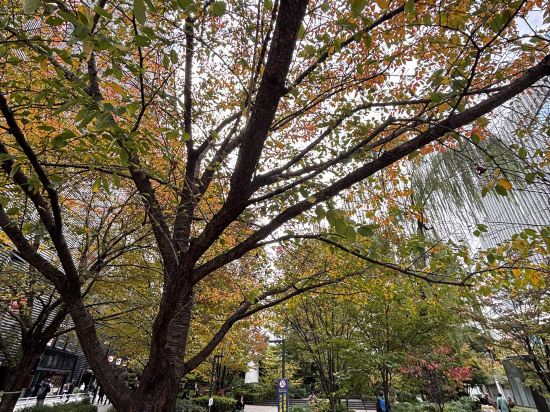 阿哥拉東京銀座酒店優惠