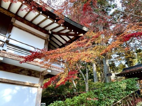 JR西日本グループ ヴィアイン京都駅八条口 クーポン