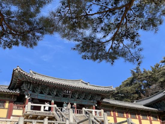한화리조트 경주 쿠폰