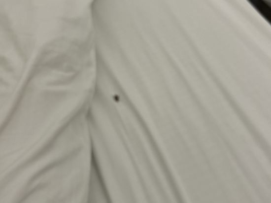 香港金島賓館優惠