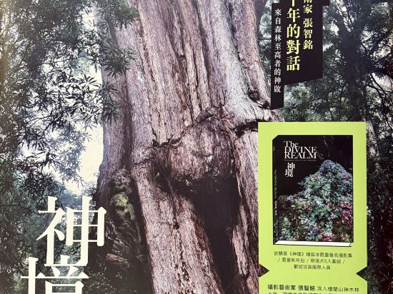 宜蘭大同棲蘭山莊（棲蘭森林遊樂區）優惠
