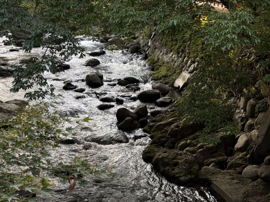 湯回廊 菊屋 クーポン