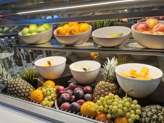 慕尼黑機場希爾頓飯店優惠